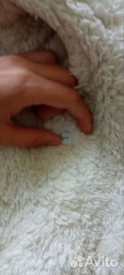 Одежда для собак