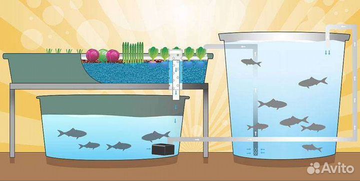 Аквариумы для узв