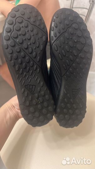 Сороконожка