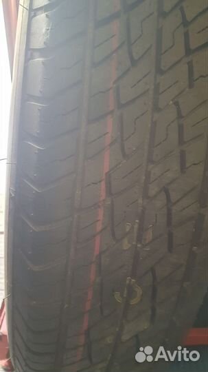 Bridgestone Blizzak DM-V1 245/55 R19