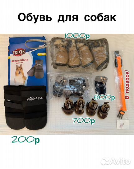 Одежда и обувь для собак на весну лето осень зиму