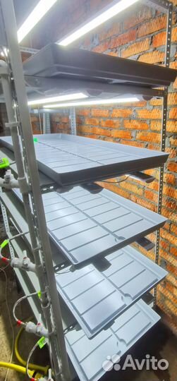 Гидроустановка для растений