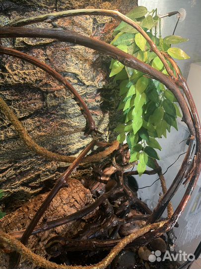 Террариум 60х45х90