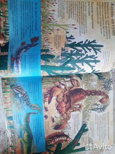 Детская энциклопедия