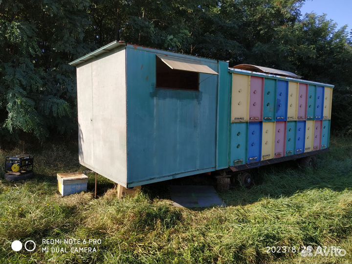 Пчелопавильон