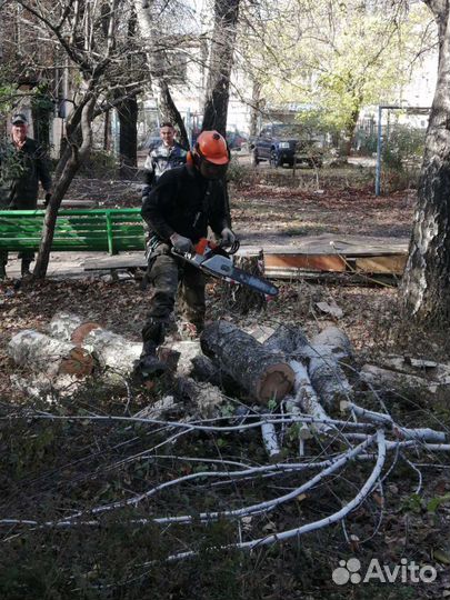 Грузчики и Разнорабочие