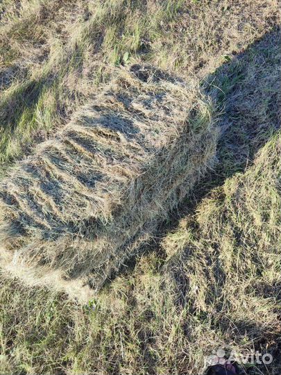 Продажа сена в тюках