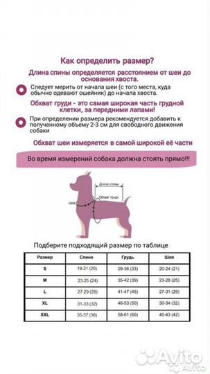 Кобинезон дождевик для собак
