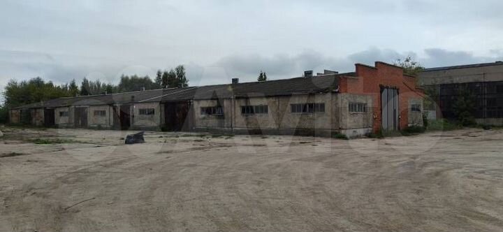 Сдам производственное помещение, 21540 м²