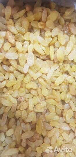 Изюм Джамбо золотой