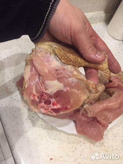 Фермерская, домашняя Птица утка, курица, индейка