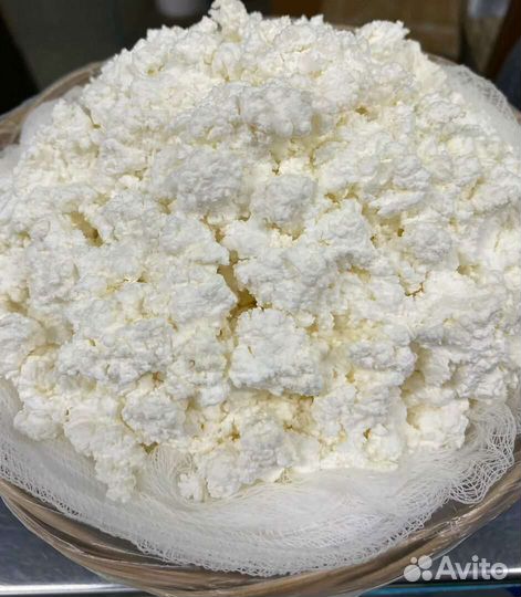 Молоко коровье домашнее