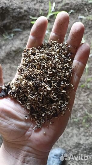 Жом свекловичный стружка