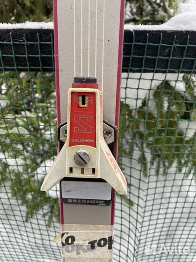 Горные лыжи