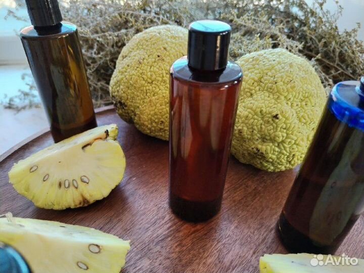 Мазь маклюра. При радикулите, болях в мышцах