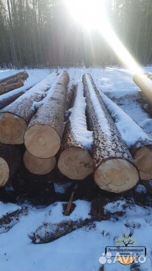 Лес кругляк для Строительства