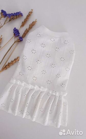 Одежда для собак