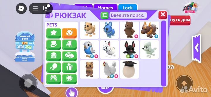 Петы адопт ми