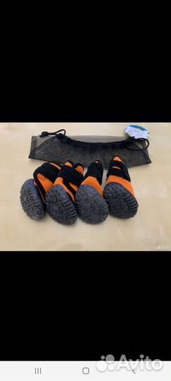 Обувь для собак