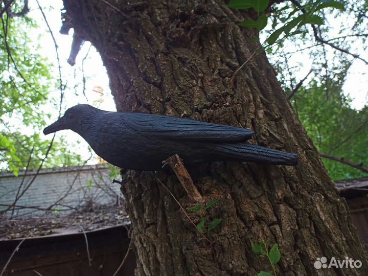 Утка кряква (чучела для охоты)