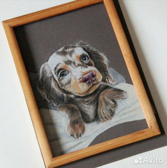 Портреты собак