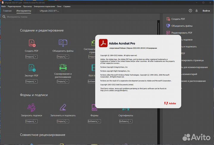Adobe Acrobat Pro 2022 - лицензия