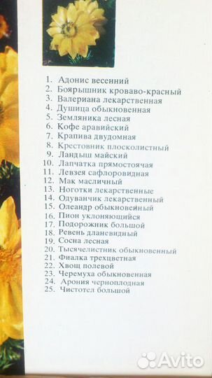 Открытки Лекарственные растения