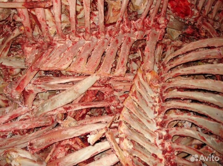 Остатки мяса