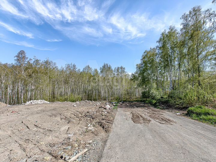 Участок 11 сот. (СНТ, ДНП)