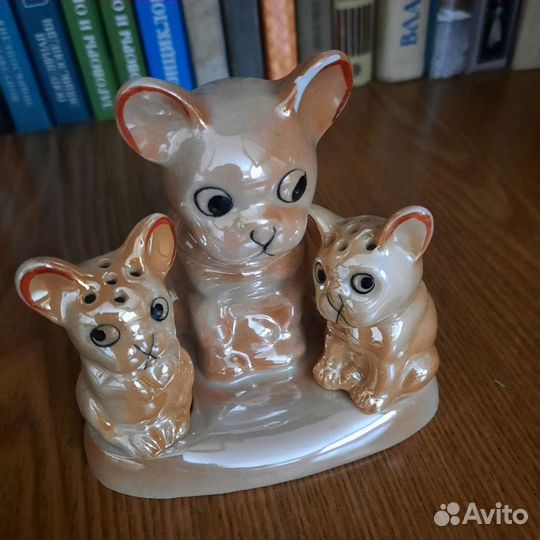 Набор для специй