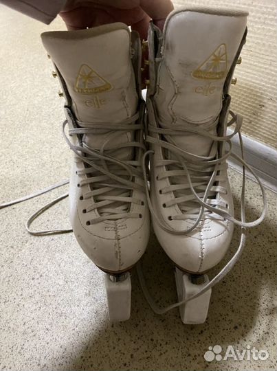 Коньки jackson elle 31р