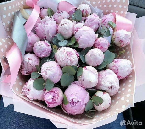 Пионы цветы