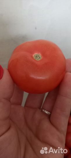 Помидоры розовые