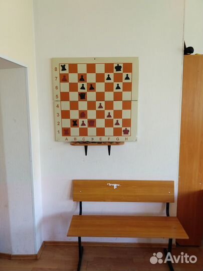 Тренер преподаватель учитель по шахматам