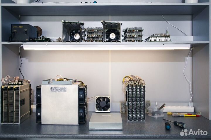 Ремонт asic (асиков) L3/L3+/L3++