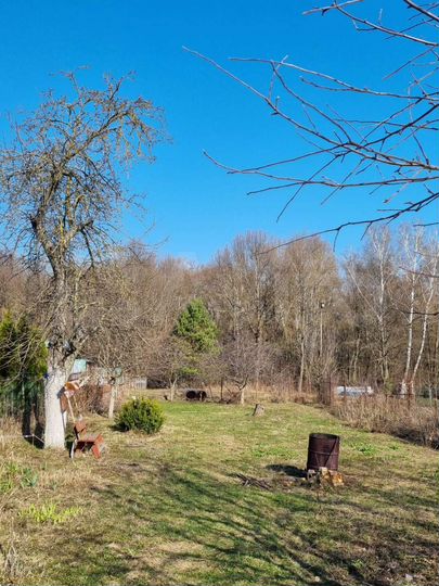 Дом 25 м² на участке 14 сот.