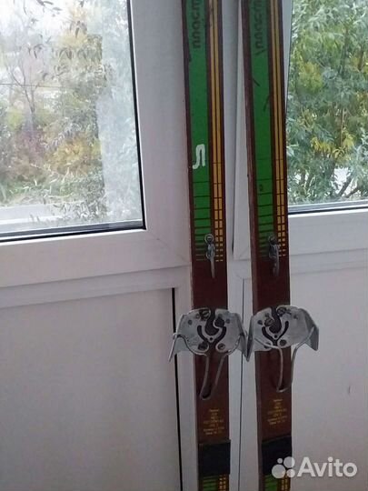 Беговые лыжи