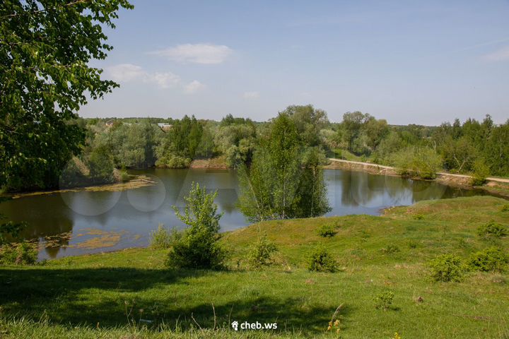 Участок 16,8 сот. (ИЖС)