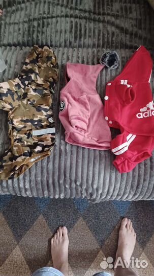 Продаю одежду для собачек,М,S,M