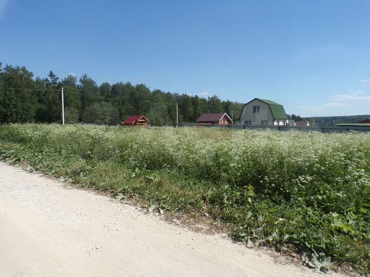 Участок 12 сот. (ИЖС)