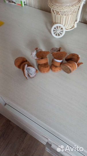 Вещи для маленькой собаки