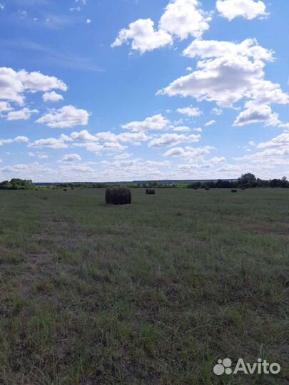 Сено в рулонах