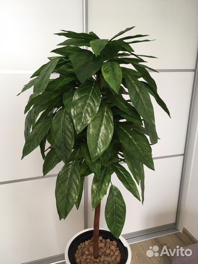Искусственные растения манго папоротник фикус