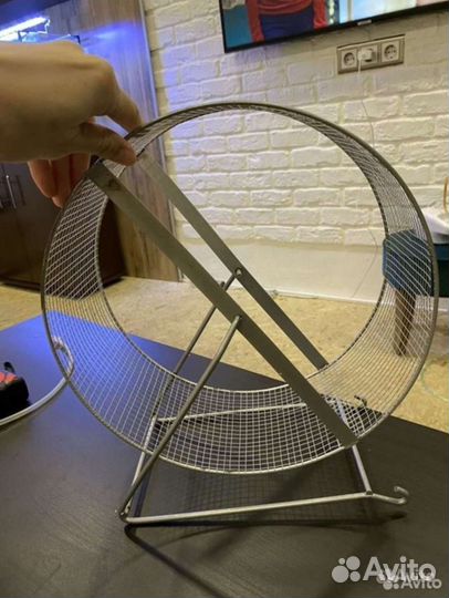 Товары для грызунов