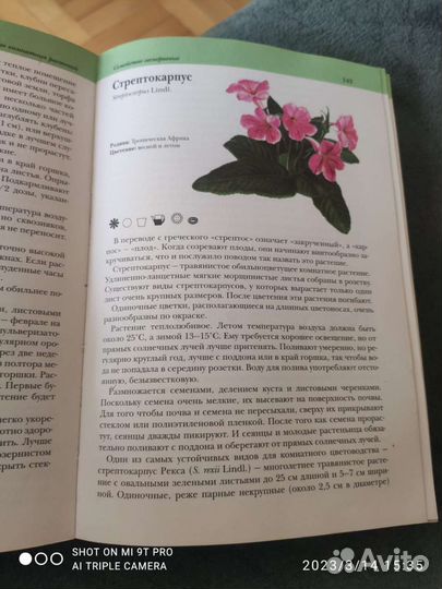 Книга комнатные растения