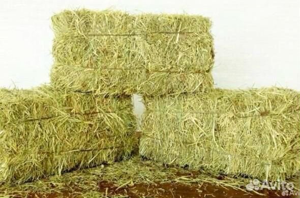 Сено луговое 2023