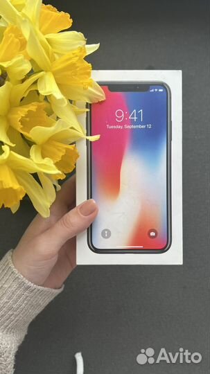 iPhone X, 64 ГБ