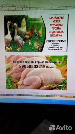 Муларды и утята подрощенные