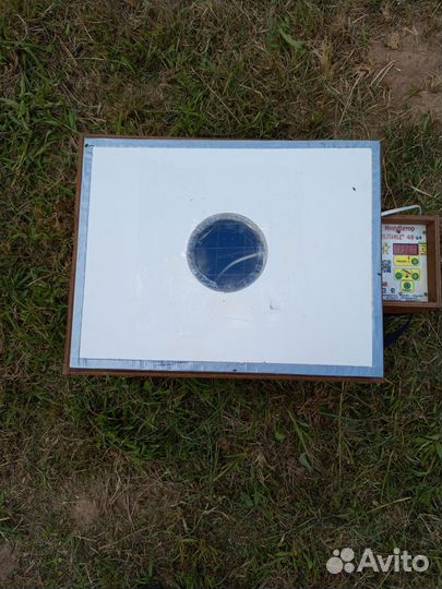 Инкубатор для яиц автоматический блиц бу