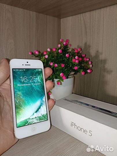 iPhone 5, 16 ГБ